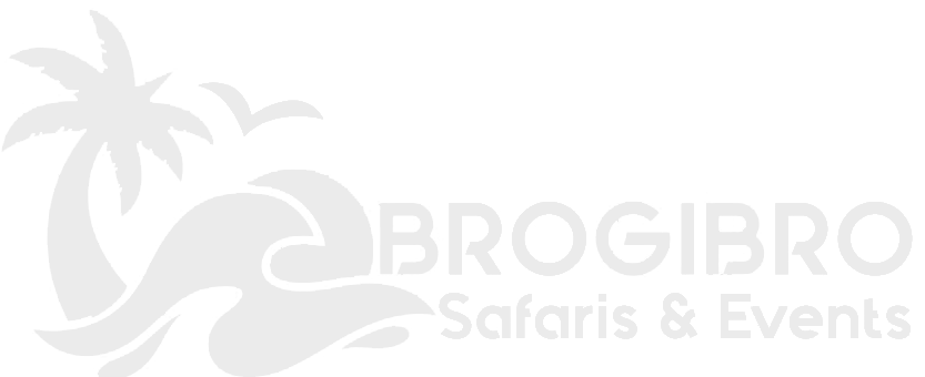Brogibro Safaris